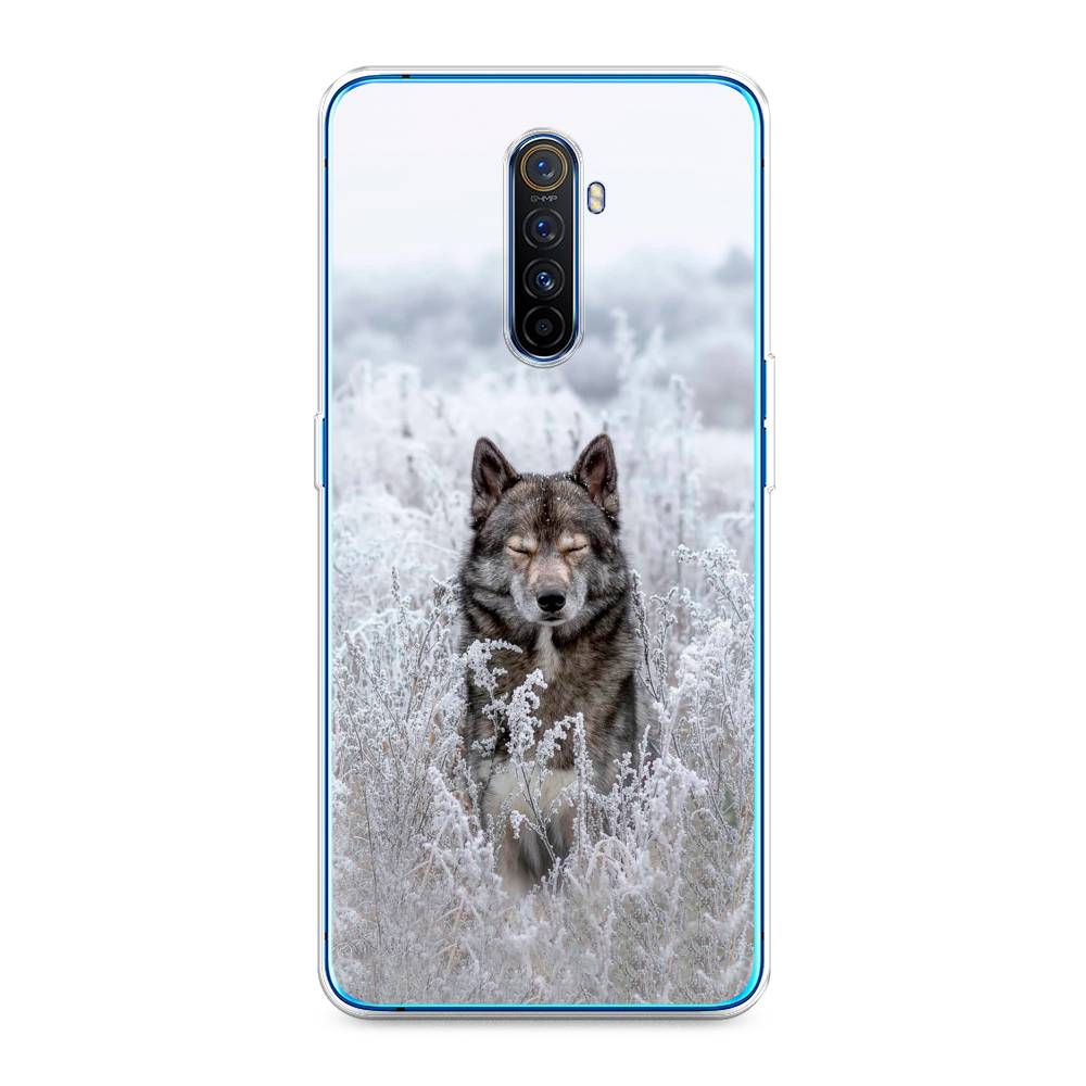 

Чехол Awog на Realme X2 Pro "Волк в поле", Разноцветный, 251750-1