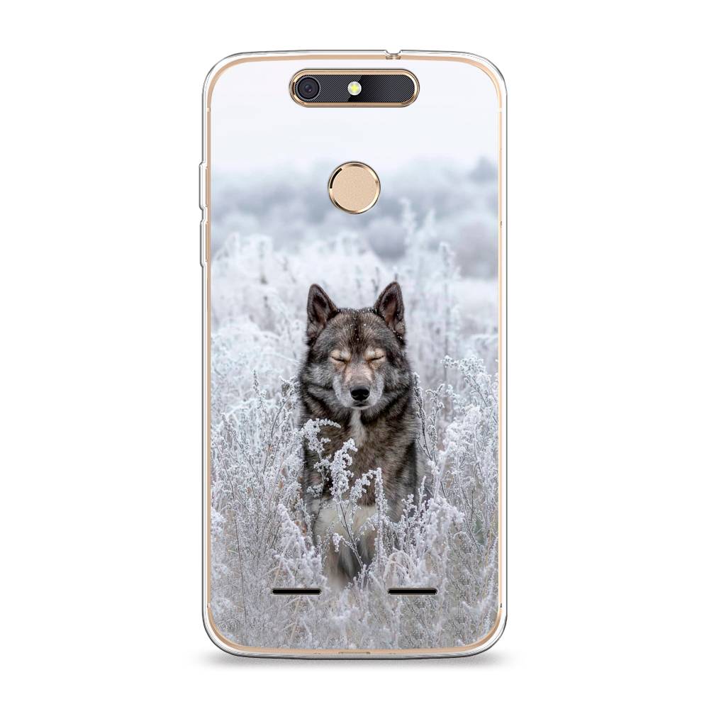 

Чехол Awog на ZTE Blade V8 mini / ЗТЕ Блэйд V8 mini "Волк в поле", 131950-1