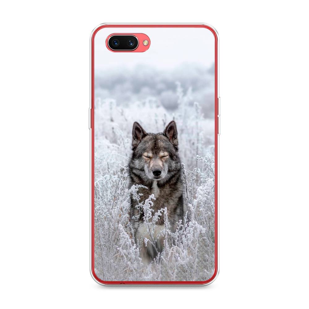 

Чехол Awog на Oppo A3s "Волк в поле", Разноцветный, 250650-1