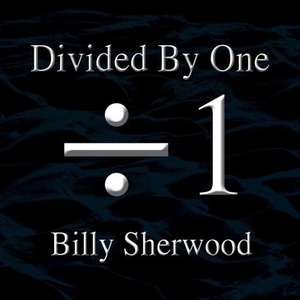 Billy Sherwood Divided By One 5299₽