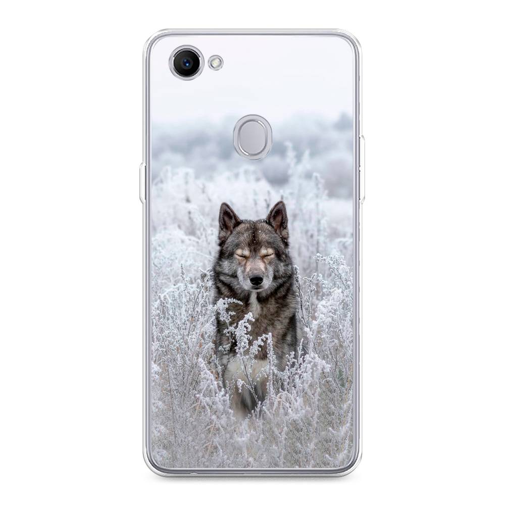 

Чехол Awog на Oppo F7 "Волк в поле", Разноцветный, 250350-1