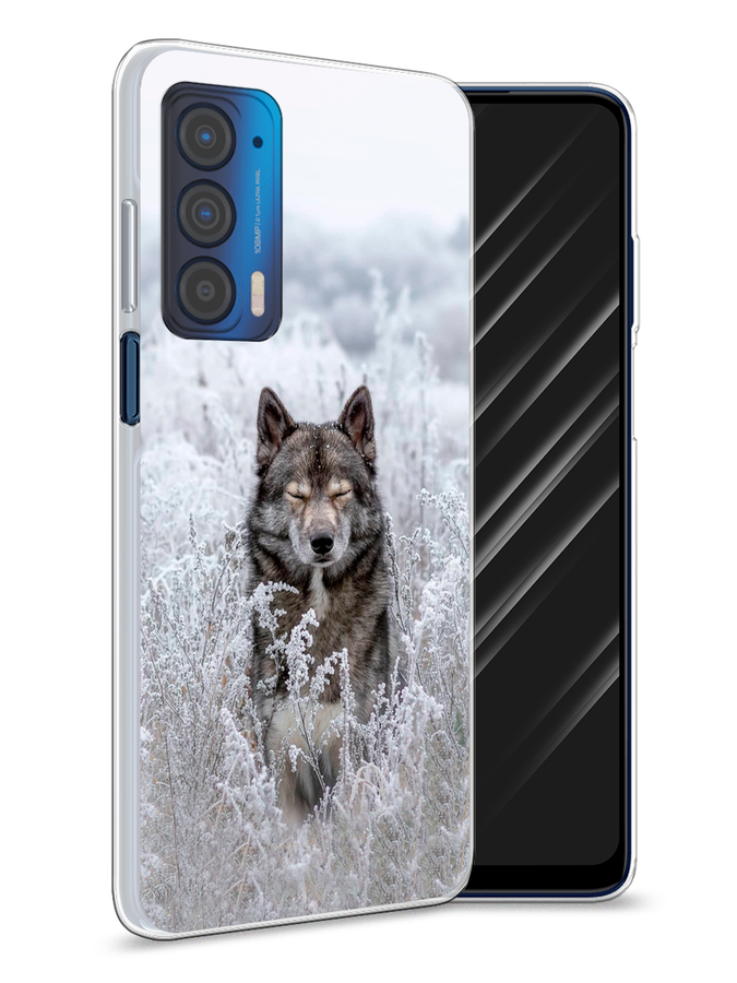 

Чехол Awog на Motorola Edge (2021) "Волк в поле", Разноцветный, 242950-1