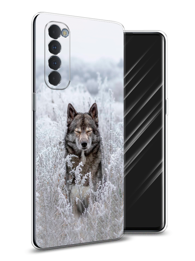 

Чехол Awog на Oppo Reno 4 Pro "Волк в поле", Разноцветный, 258950-1