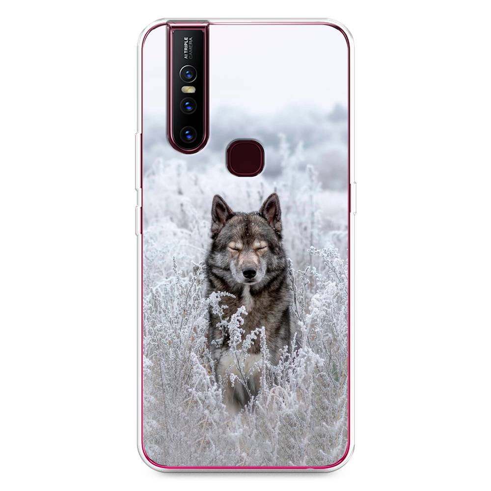 

Чехол Awog на Vivo V15 "Волк в поле", Разноцветный, 261050-1