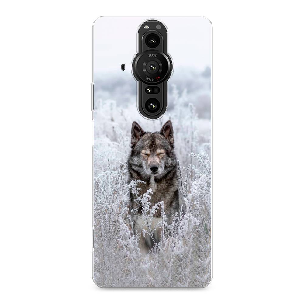 

Чехол Awog на Sony Xperia Pro-I "Волк в поле", Разноцветный, 55050-1