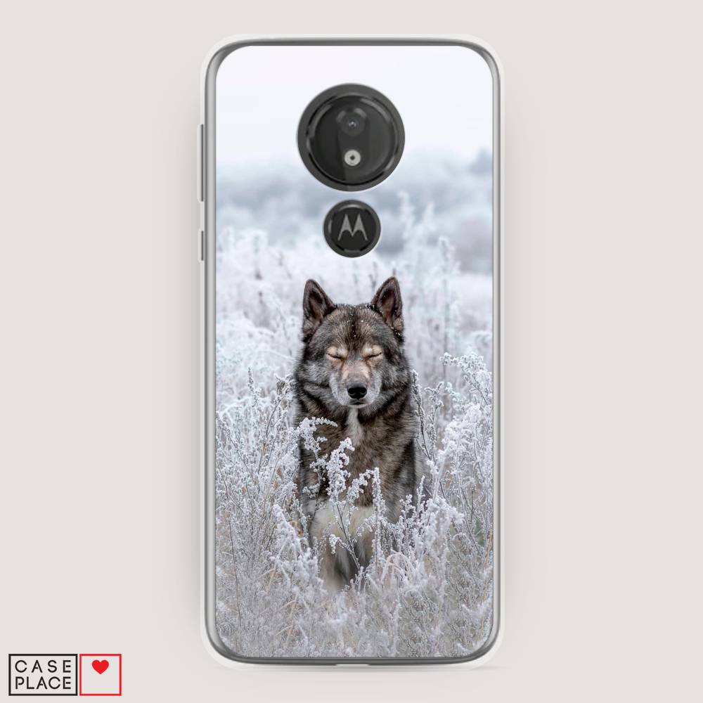 

Чехол Awog на Motorola Moto G7 Power / Моторола Мото G7 Power "Волк в поле", Разноцветный, 241350-1