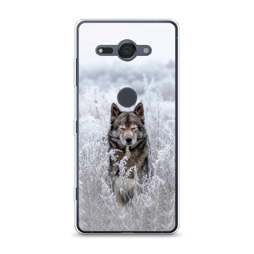 

Чехол Awog на Sony Xperia XZ2 compact "Волк в поле", Разноцветный, 52950-1