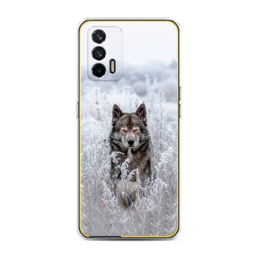 

Чехол Awog на Realme GT "Волк в поле", Разноцветный, 256350-1