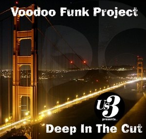 Deep in the Cut - Voodoo Funk Project