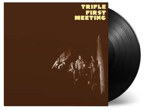 

Trifle - First Meeting, 1 LP