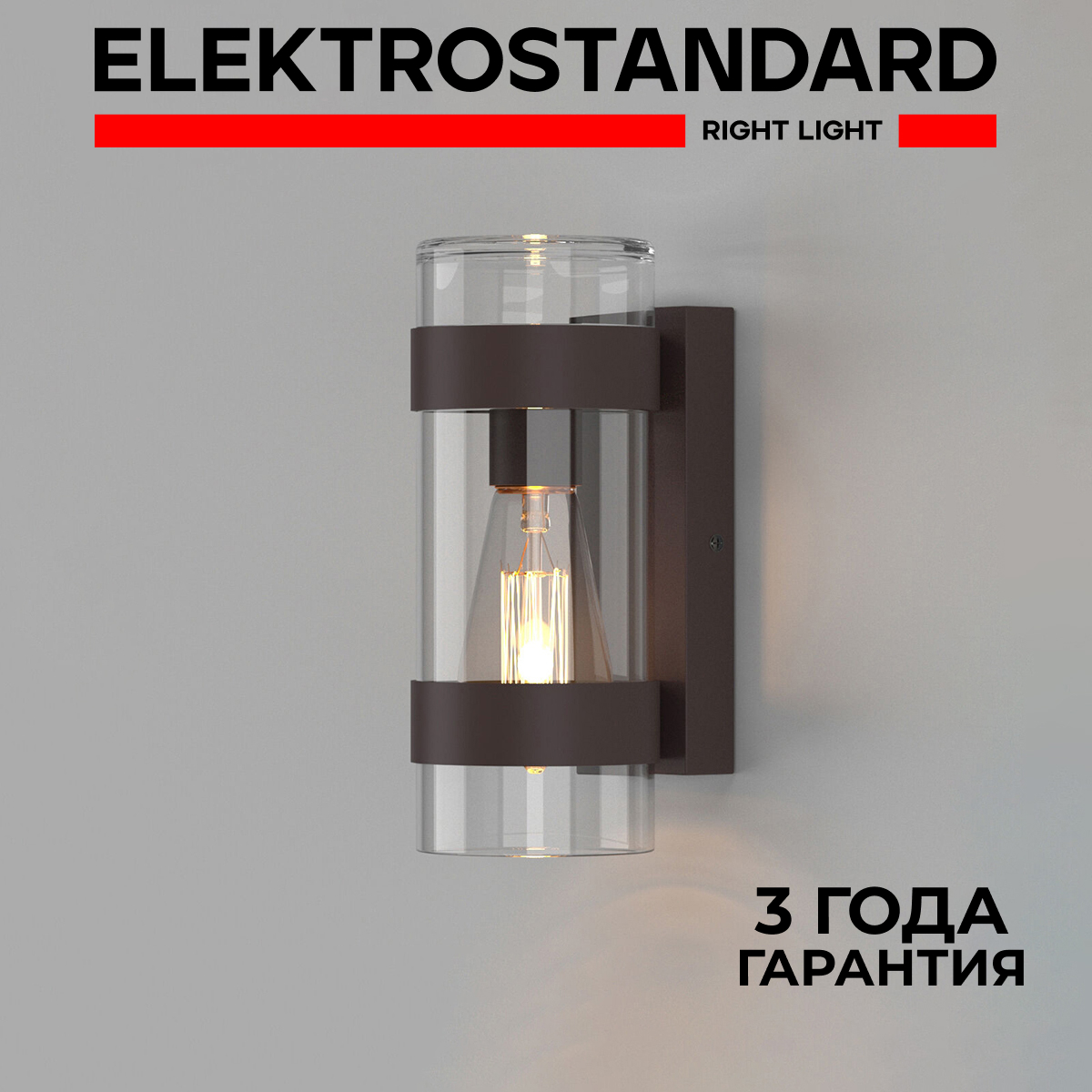 

Уличный настенный светильник Elektrostandard Falcon 35167/D темно-коричневый E27 IP43, Falcon