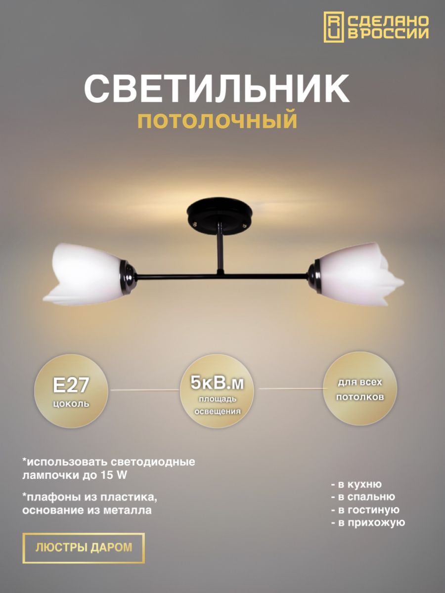 

Люстра потолочная,Люстры Даром на 2 лампы, 1010-2 BK+CH, 1010-2