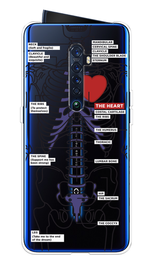 

Чехол на Oppo Reno 2 "Скелет человека", Прозрачный;синий;красный, 253550-1
