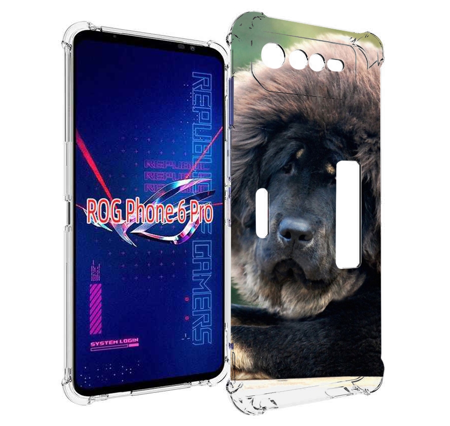 

Чехол MyPads тибетскии мастиф для Asus ROG Phone 6 Pro, Прозрачный, Tocco