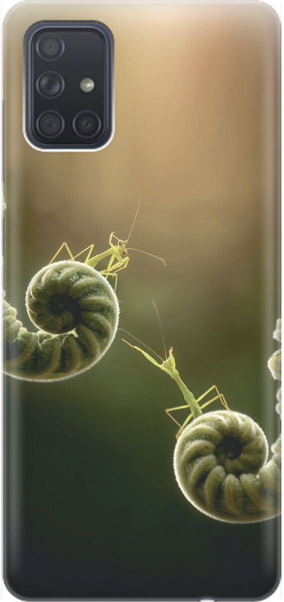 

Силиконовый чехол на Samsung Galaxy A71 с принтом "Пара богомолов", Бежевый;зеленый, 1546