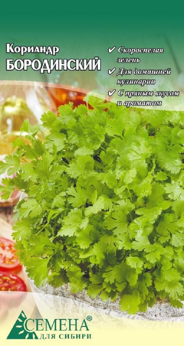 

Семена кориандр Бородинский от Семена для Сибири