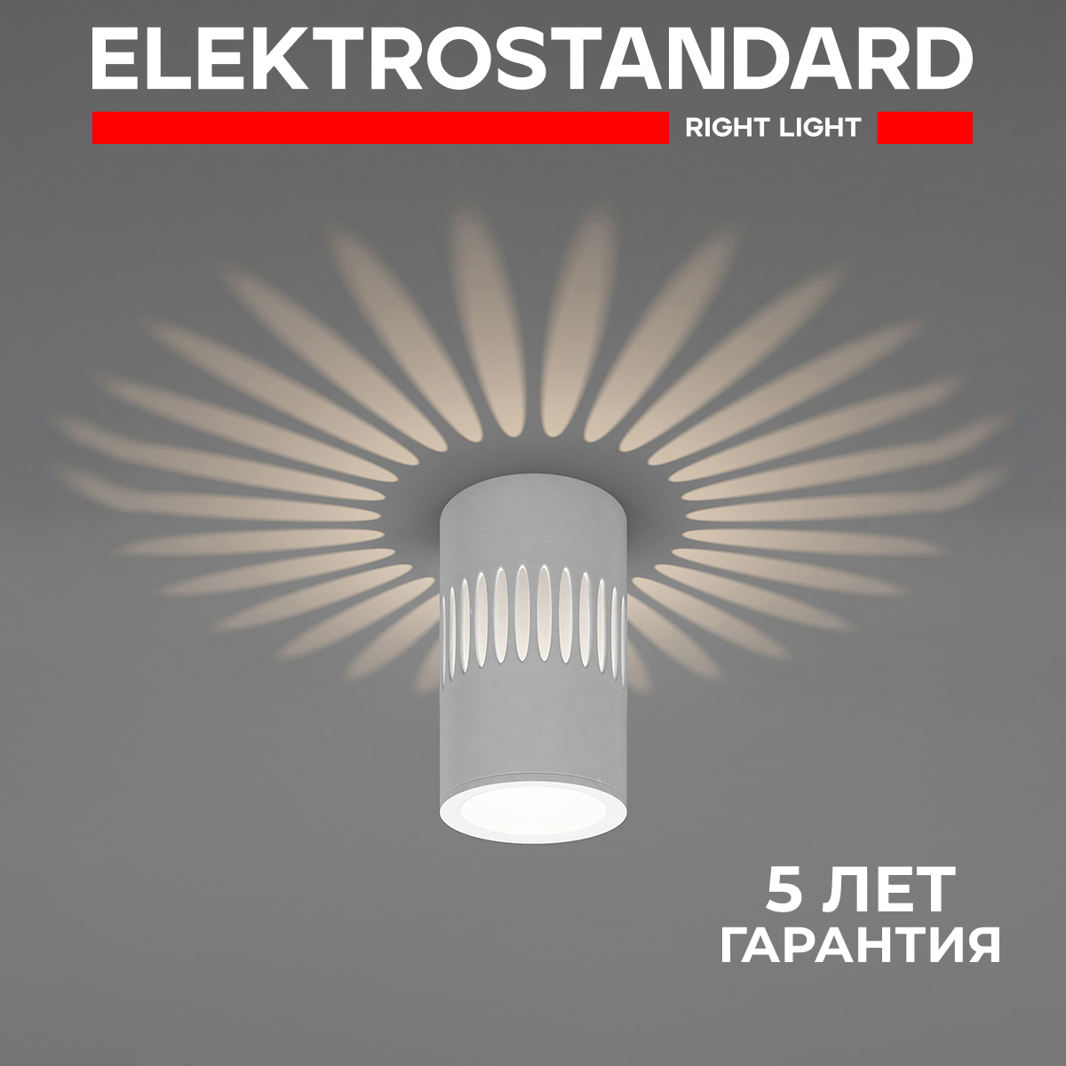 

Накладной светодиодный светильник с подсветкой Elektrostandard DLS026 7W 4200К белый, DLS026 190923