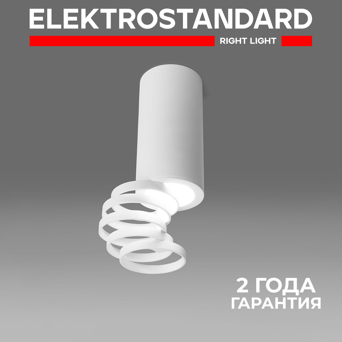 

Накладной точечный потолочный светильник Elektrostandard DLN102 GU10 белый, DLN102 190923