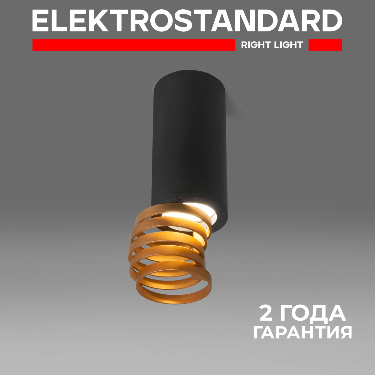 

Накладной точечный потолочный светильник Elektrostandard DLN102 GU10 черный/золото, DLN102 190923