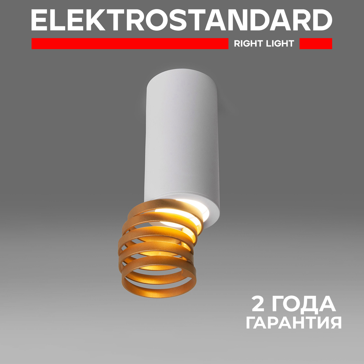 

Накладной точечный потолочный светильник Elektrostandard DLN102 GU10 белый/золото, DLN102 190923