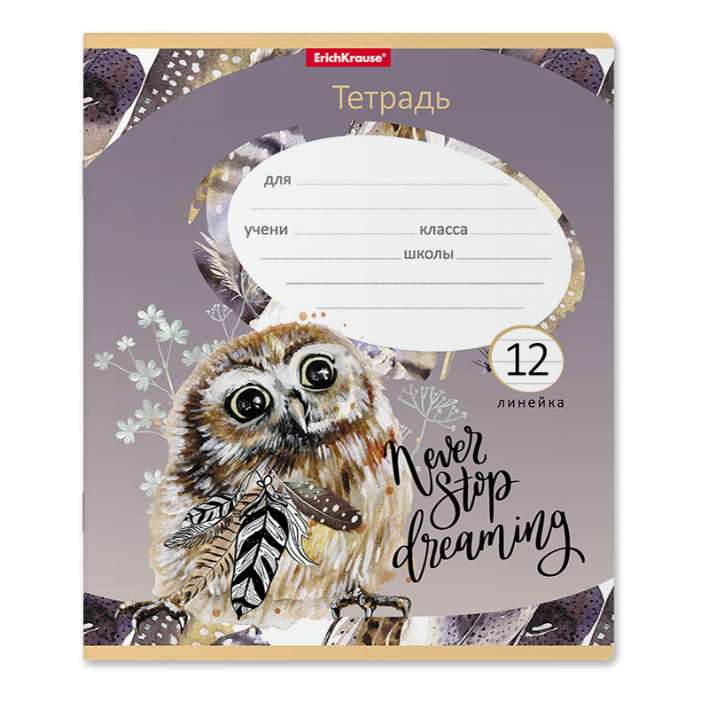 

Тетрадь тонкая ErichKrause Dreamy Owl 12 листов A5+ в линейку