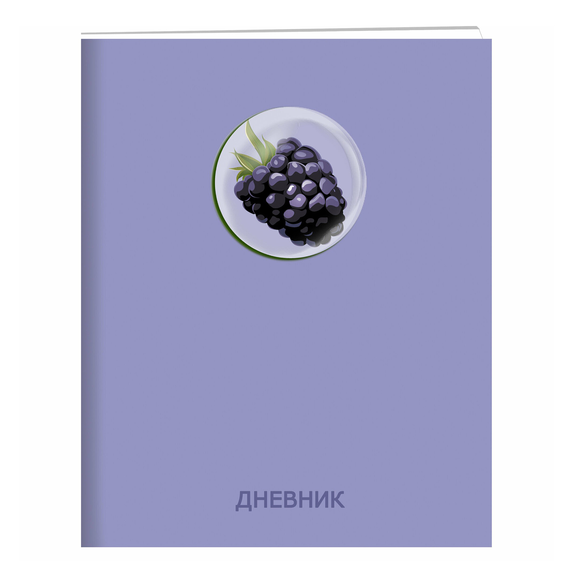 

Дневник универсальный Listoff Diary mix 2 сиреневый 48 листов