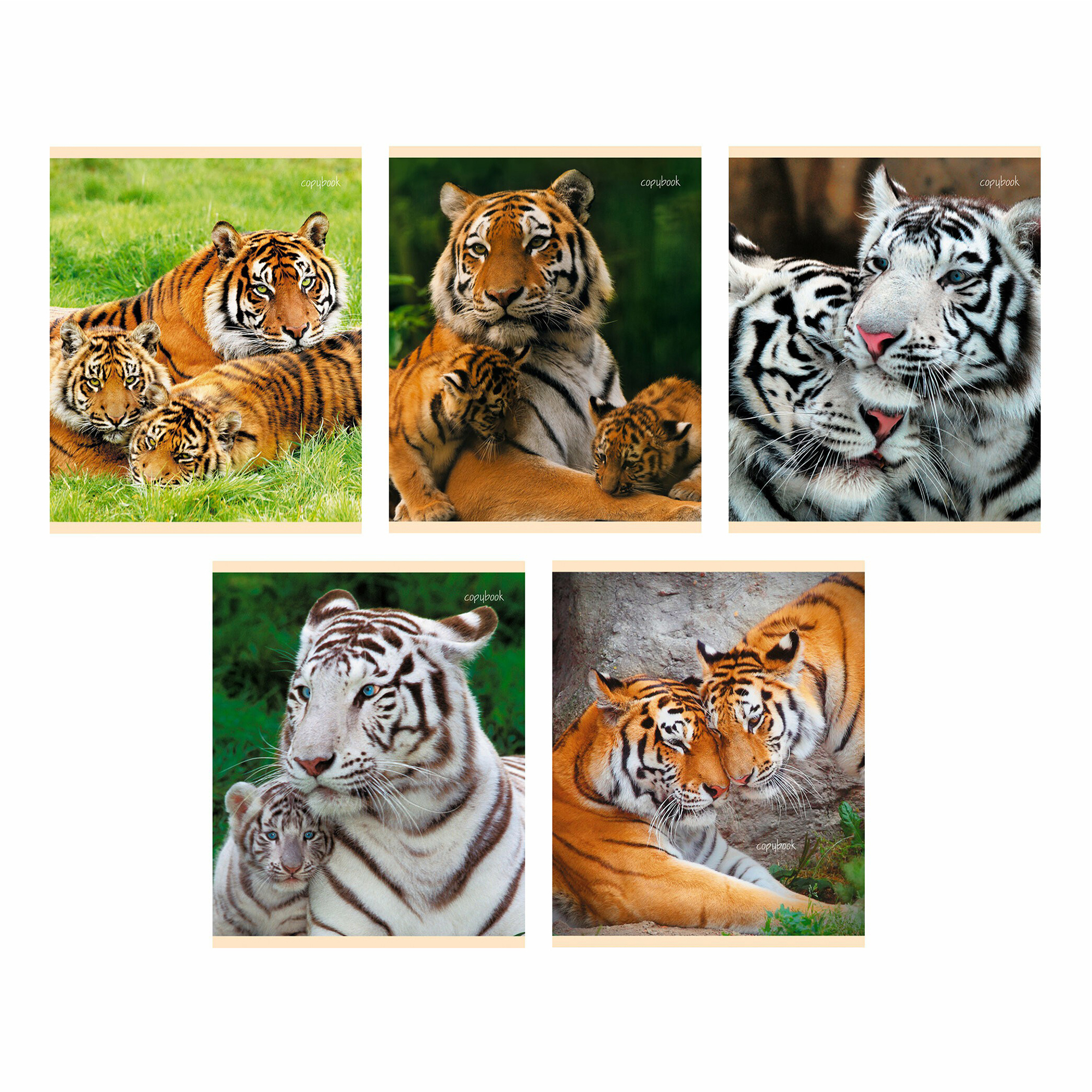 

Тетрадь общая Канц-Эксмо Тигры 48 листов А5 на скрепке в клетку в ассортименте