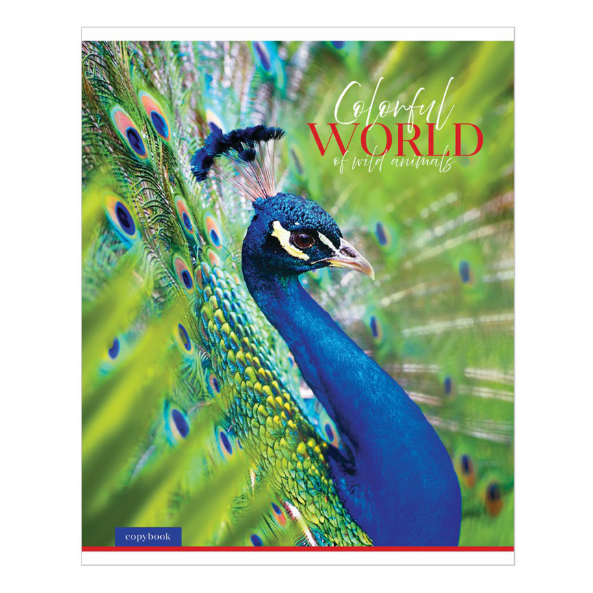 

Тетрадь общая ArtSpace Colorful World 48 листов А5 на скобе в клетку в ассортименте