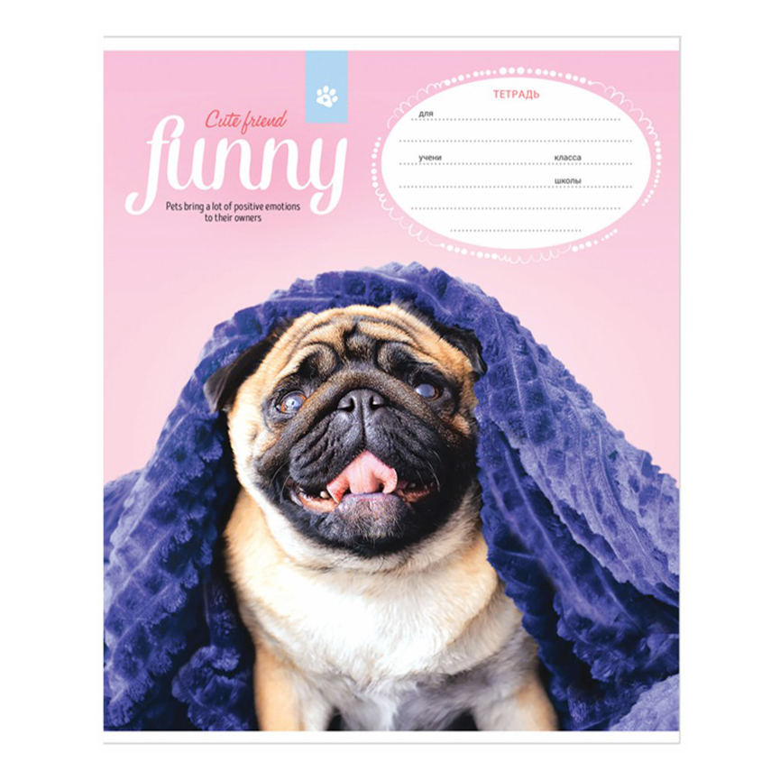 

Тетрадь тонкая ArtSpace Funny Pets 12 листов А5 на скрепке в клетку в ассортименте