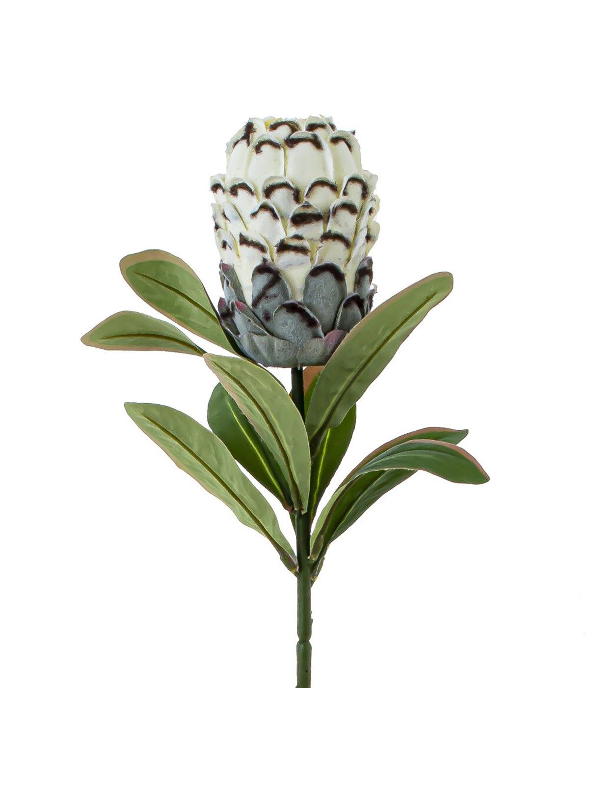 

Искусственный цветок Артишок 15 см ALAT Home 795380, Голубой;зеленый