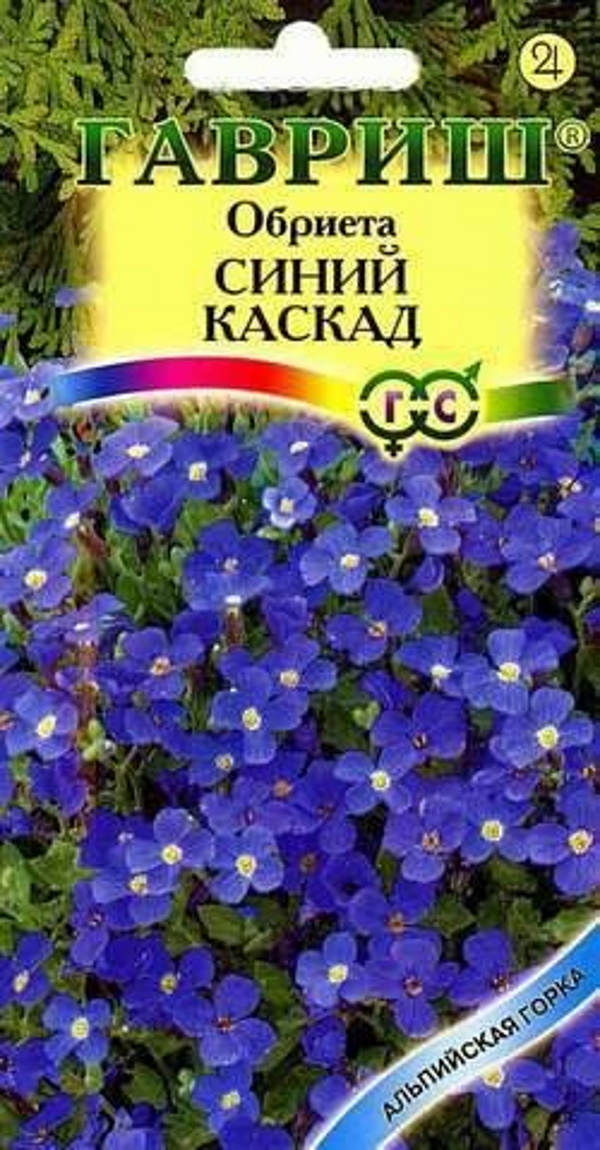 

Семена. Обриета "Синий каскад" (10 пакетов по 0,05 г)