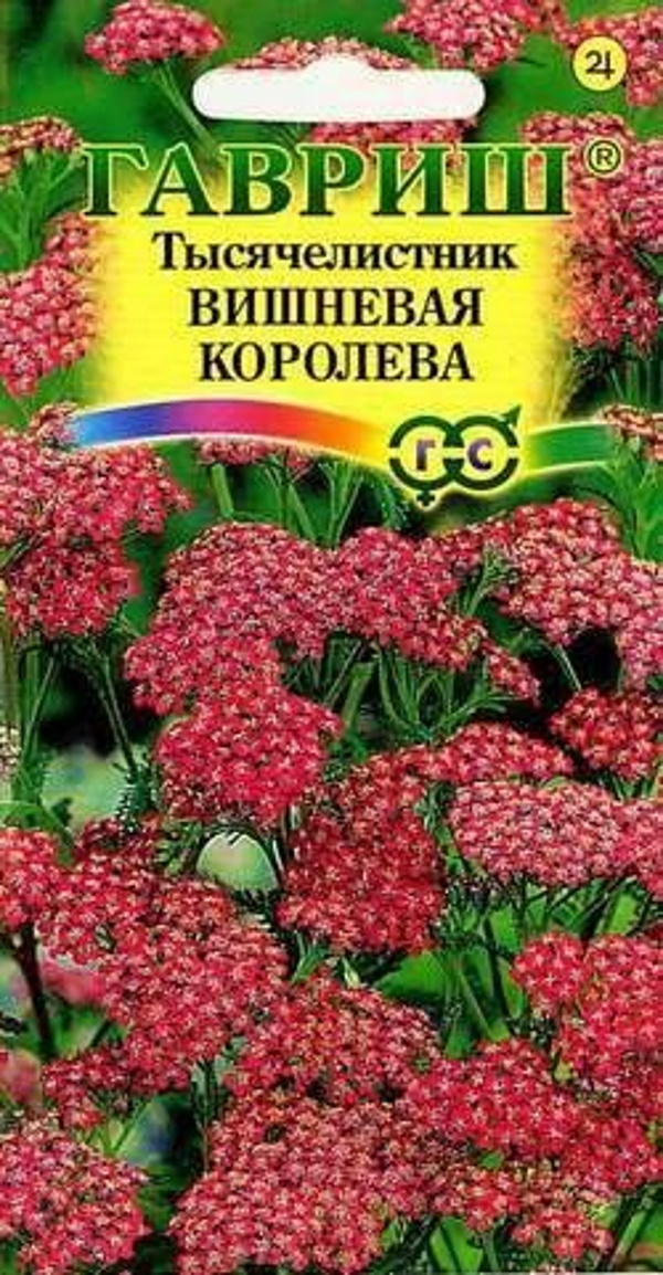 

Семена. Тысячелистник "Вишневая королева" (10 пакетов по 0,1 г)