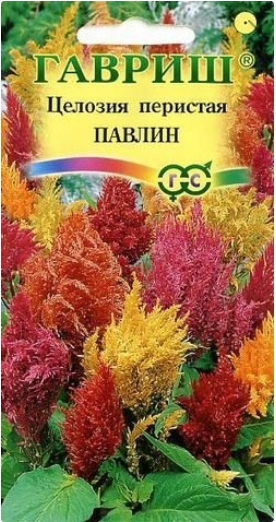 

Семена. Целозия перистая "Павлин" (10 пакетов)