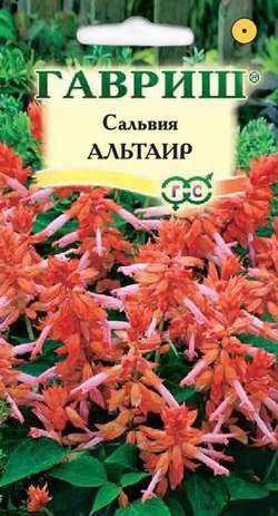 

Семена. Сальвия карликовая "Альтаир" (10 пакетов)