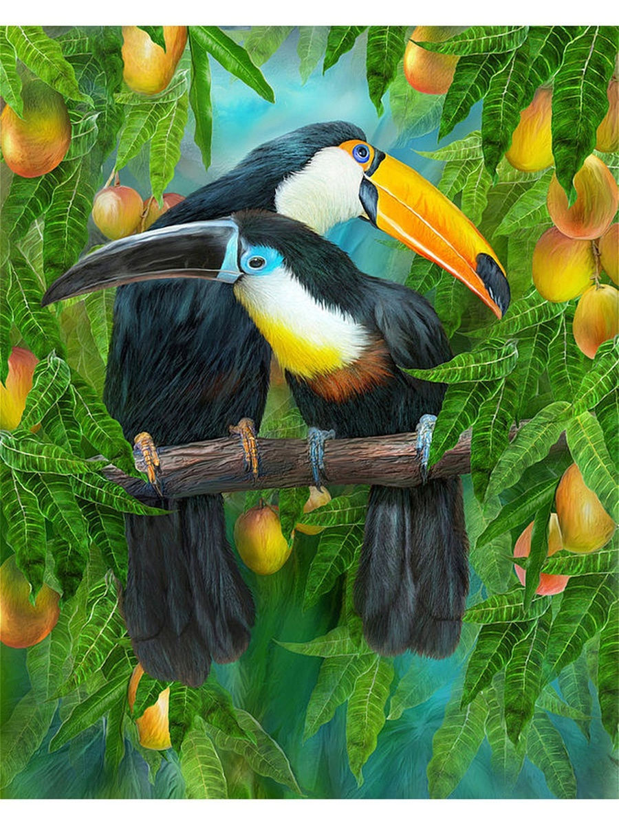Рисунок тропические птицы