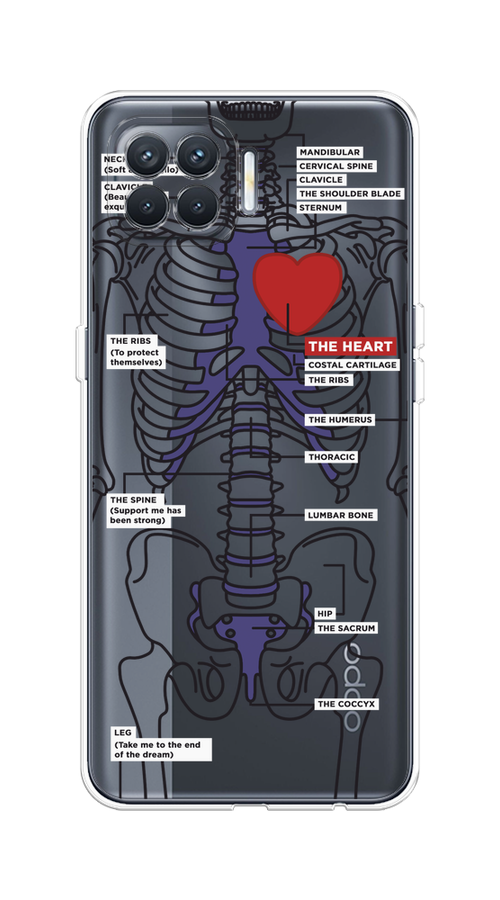 

Чехол на Oppo Reno 4 Lite/A93 "Скелет человека", Прозрачный;синий;красный, 254550-1