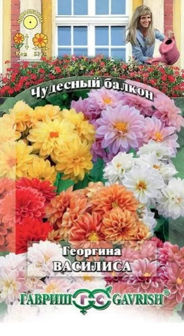 

Семена. Георгина "Василиса" (10 пакетов по 0,3 г)