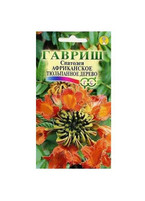 

Семена. Спатодея "Африканское тюльпанное дерево" (10 пакетов по 0,05 г)