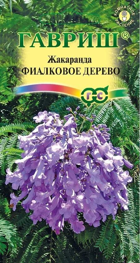 

Семена. Жакаранда "Фиалковое дерево" (10 пакетов) (количество товаров в комплекте: 10)