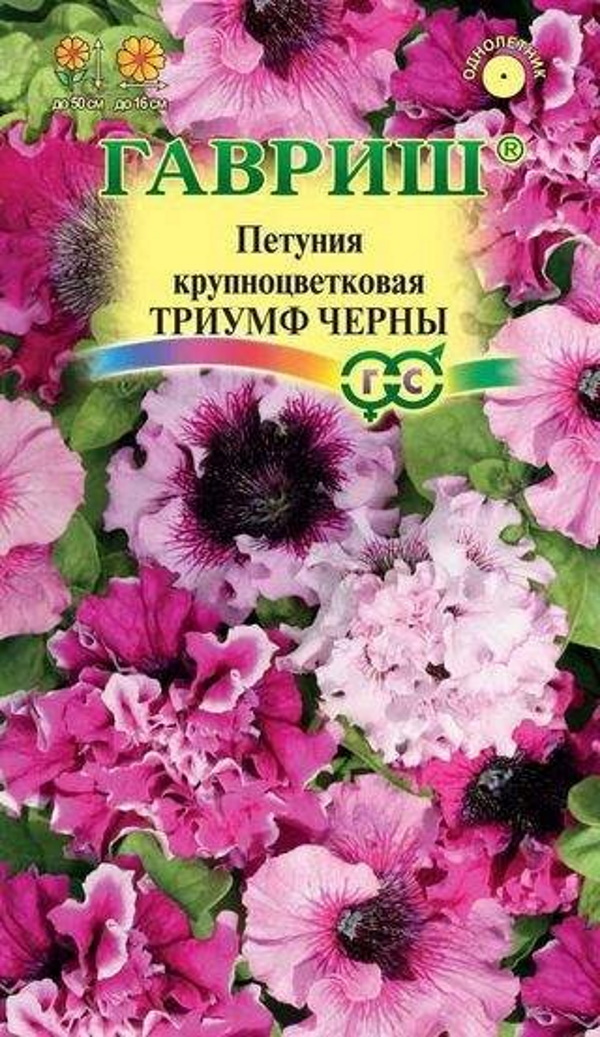 

Семена. Петуния "Триумф Черны" (10 пакетов)