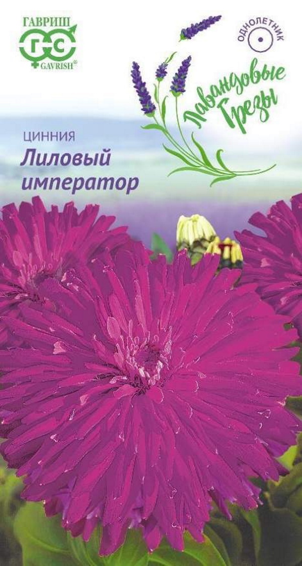 

Семена цветов цинния Лиловый император Гавриш 2 г 10 шт.