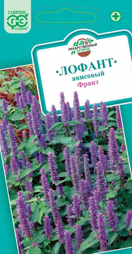 

Семена. Лофант "Франт" (10 пакетов по 0,3 г) (количество товаров в комплекте: 10)