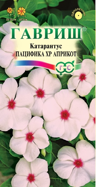 

Семена. Катарантус "Пацифика XP Априкот" (10 пакетов по 7 штук)