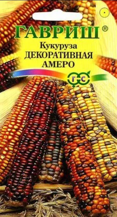 

Семена. Кукуруза декоративная "Амеро" (10 пакетов по 5 штук)