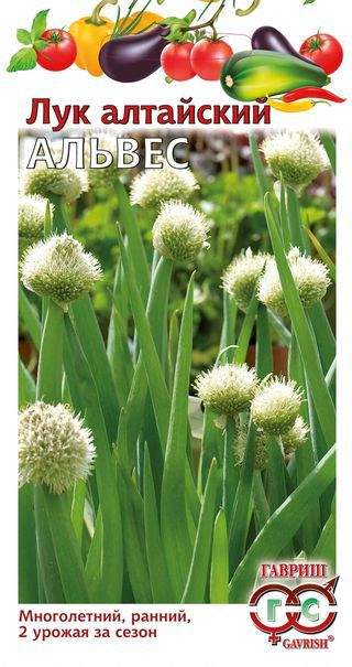 

Семена. Лук алтайский "Альвес" (10 пакетов по 0,5 г) (количество товаров в комплекте: 10)