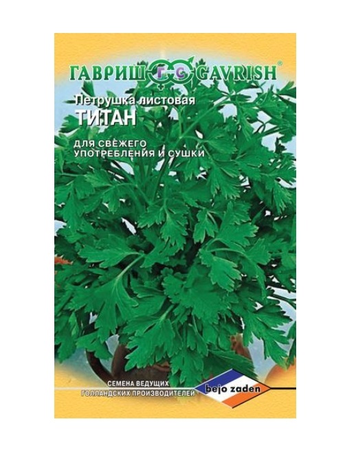 

Семена. Петрушка листовая "Риалто" (10 пакетов по 0,5 г), Голландия