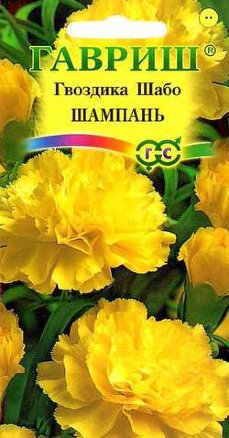 

Семена. Гвоздика "Шабо Шампань" (10 пакетов по 0,1 г)