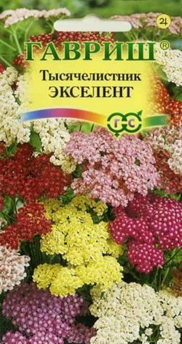 

Семена. Тысячелистник "Экселент", смесь (10 пакетов по 0,1 г)