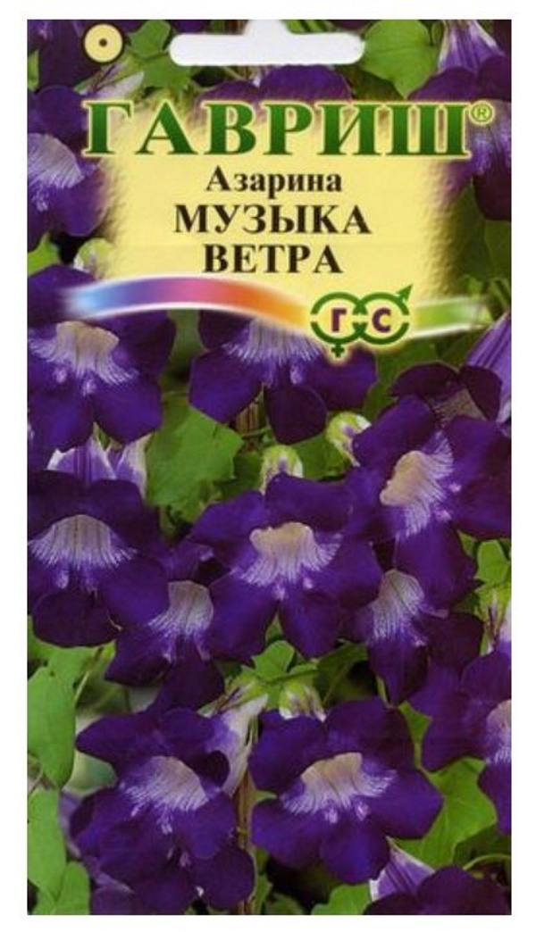 

Семена. Азарина "Музыка ветра" (10 пакетов по 5 штук)