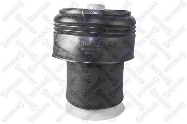 

30-00024-sx_пневмоподушка задняяadaptive drive s2vaabmw e70/e71